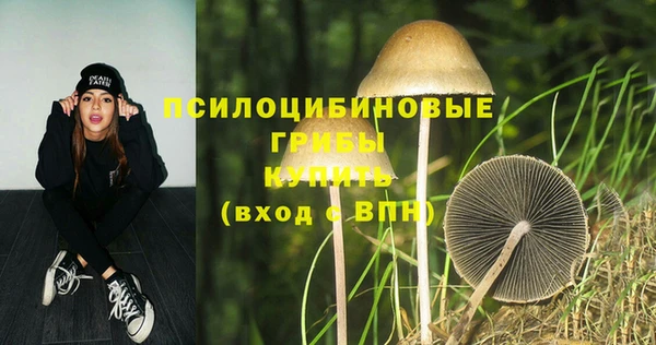 ешки Надым
