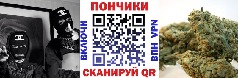 Бошки марихуана планчик купить наркотики сайты Отрадная
