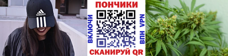 Канабис гибрид Отрадная